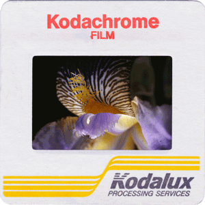 Image of Kodachrome Slide